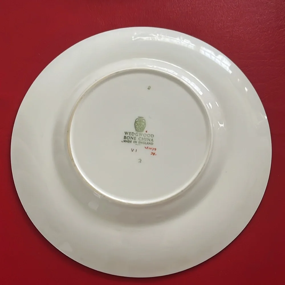 Wedgwood Florentine Dark Blue Rim Salad Plate |Set of 2